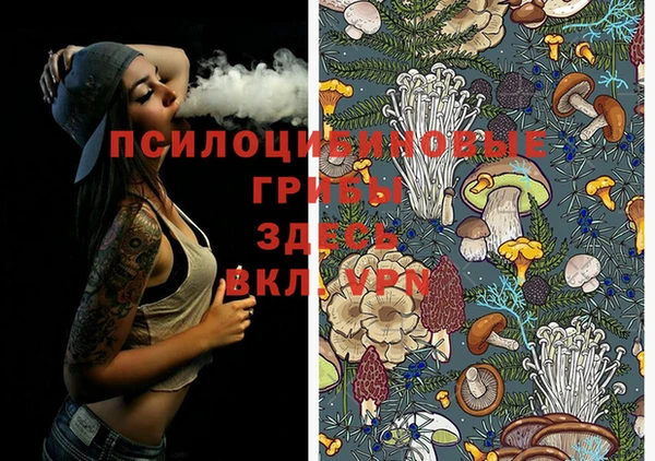 марки nbome Дубовка