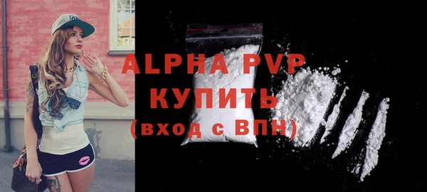 индика Дубна
