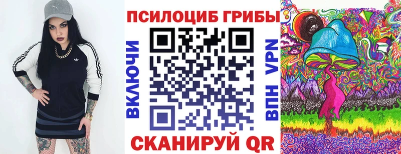 наркошоп  Козельск  Псилоцибиновые грибы Psilocybine cubensis 